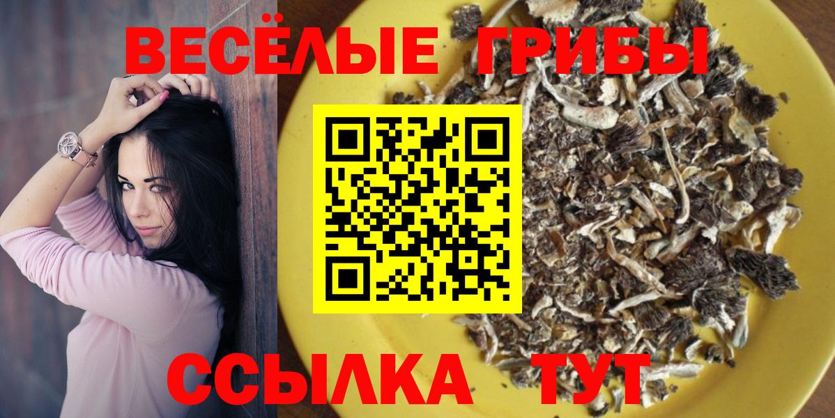 Галлюциногенные грибы мицелий Анжеро-Судженск